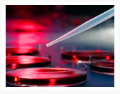 Laboratorio Cl&iacute;nico Cemol - Linares